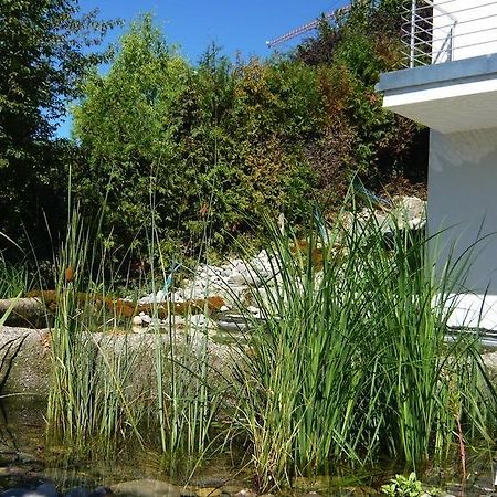 Apartmán N1 Standalone House Baden Hertenstein Exteriér fotografie