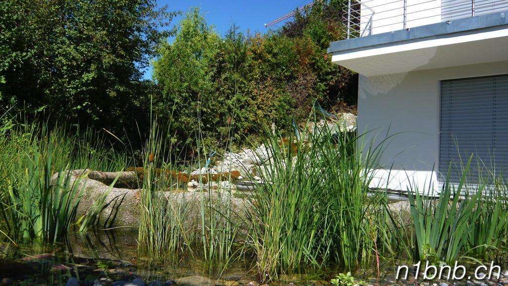Apartmán N1 Standalone House Baden Hertenstein Exteriér fotografie