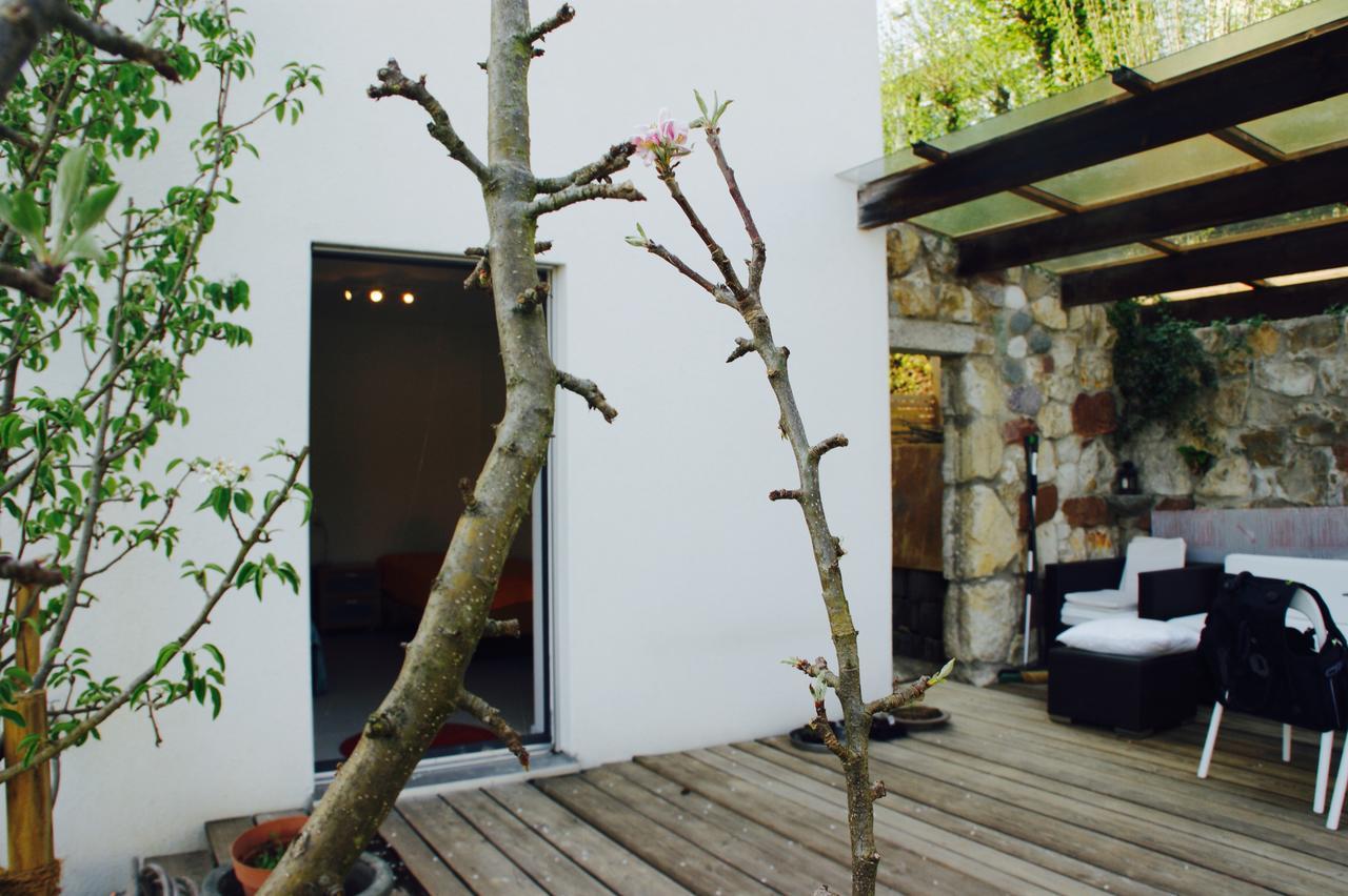 Apartmán N1 Standalone House Baden Hertenstein Exteriér fotografie